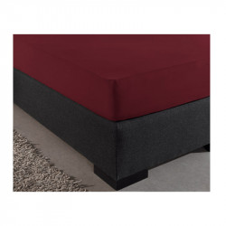Υπέρδιπλο Σεντόνι Jersey με Λάστιχο 160 x 200 x 30 cm Χρώματος Μπορντό Dreamhouse 8717703801446