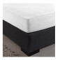 King Size Σεντόνι Jersey με Λάστιχο 190 x 200 x 30 cm Χρώματος Λευκό Dreamhouse 8717703801170 King Size Σεντόνι Jersey με Λάστιχο 190 x 200 x 30 cm Χρώματος Λευκό Dreamhouse 8717703801170