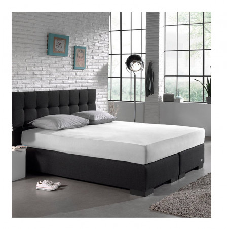 Μονό Σεντόνι Dubbel Jersey με Λάστιχο 80 x 220 x 30 cm Χρώματος Λευκό Dreamhouse 8717703801583