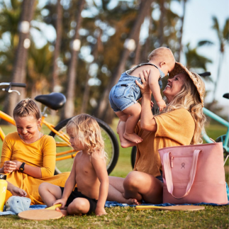 Hydro Flask Cooler Lunch Travel Bag 20L