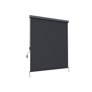 SONGMICS Κάθετο Ρολό Σκίασης-Τέντα 2.5 x 1.6 m. με αναδιπλούμενη κασέτα Γκρι, ,GSA165GY 