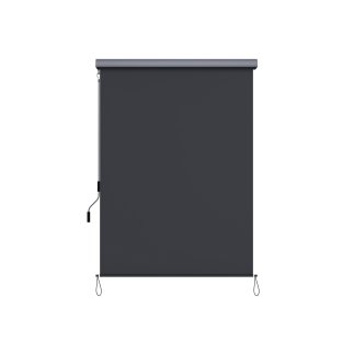 SONGMICS Κάθετο Ρολό Σκίασης-Τέντα 2.5 x 1.6 m. με αναδιπλούμενη κασέτα Γκρι, ,GSA165GY 