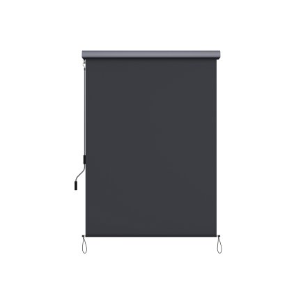 SONGMICS Κάθετο Ρολό Σκίασης-Τέντα 2.5 x 1.6 m. με αναδιπλούμενη κασέτα Γκρι, ,GSA165GY 