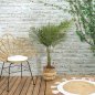 Τεχνητό Φυτό Φοίνικας 120 cm HD0452 Home Deco Factory