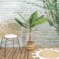 Τεχνητό Φυτό Μπανάνα 120 cm HD0455 Home Deco Factory