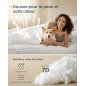 Σετ Παπλωμάτων 2 σε 1 SONGMICS HOME, 200 x 200 cm, 150 GSM Καλοκαιρινό & 350 GSM Χειμερινό, 500 GSM Όλες οι Εποχές, Λευκό Cloud 