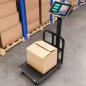 MULTISTORE Βιομηχανική Ηλεκτρονική Ζυγαριά 200 kg LCD H-008 MULTISTORE Βιομηχανική Ηλεκτρονική Ζυγαριά 200 kg LCD H-008