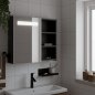 vidaXL Ντουλάπι Καθρέφτη Μπάνιου με LED Φωτισμό Μαύρο 60x13x52 εκ. 357971 vidaXL Ντουλάπι Καθρέφτη Μπάνιου με LED Φωτισμό Μαύρο 60x13x52 εκ. 357971
