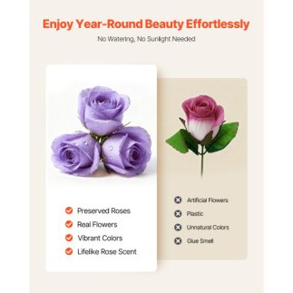 VEVOR Forever Flowers: 50 Αιώνια Τριαντάφυλλα σε Κουτί, Μοναδικό Δώρο για Γυναίκες - Γενέθλια, Επέτειος, Ημέρα του Αγίου Βαλεντί