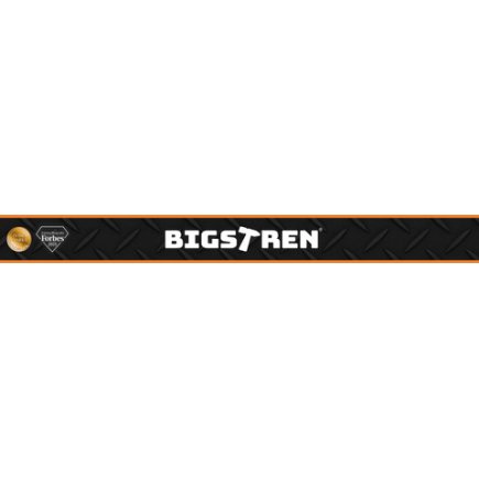 Bigstreen Πιστόλι Σιλικόνης 600 ml για Φύσιγγες και Σακουλάκια, Μεταλλικό, με 5 Ακροφύσια και 5 Σπάτουλες 27563