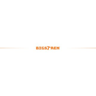 Bigstren Δυναμόκλειδο 1/4" 2-26 Nm Δεξιόστροφο/Αριστερόστροφο με Πιστοποιητικό Διακρίβωσης 27087