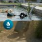 Cecotec Αντλία Ακάθαρτων Νερών Neptunus 400 Dark 400W, Παροχή έως 8.000 l/h, Μανομετρικό 5,5 m, Μέγιστο Σωματιδίων 25 mm, Φλοτερ