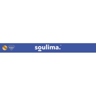 Soulima Ξυριστική Μηχανή Γενειάδας Foil με LED Οθόνη, USB-C, 2 Foils, 2 Λεπίδες και Θήκη 27677