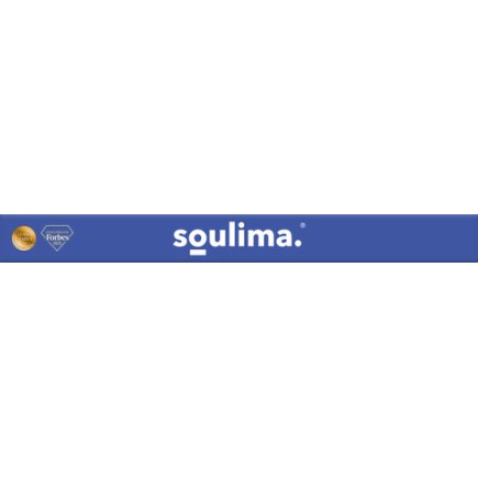Soulima Ξυριστική Μηχανή Γενειάδας Foil με LED Οθόνη, USB-C, 2 Foils, 2 Λεπίδες και Θήκη 27677