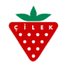 Cilek